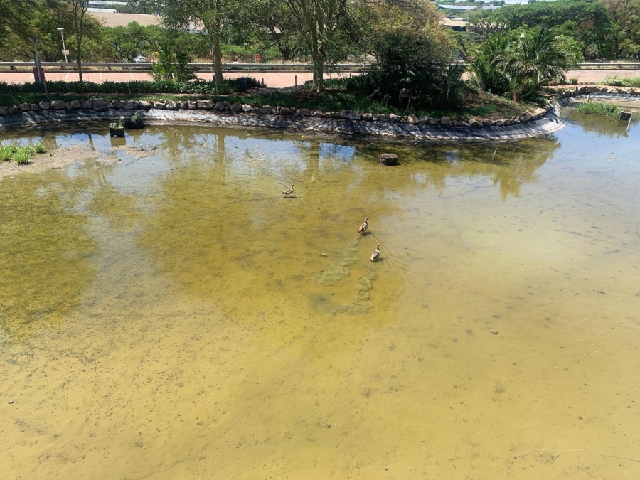 To Let commercial Property for Rent in Woodmead Gauteng