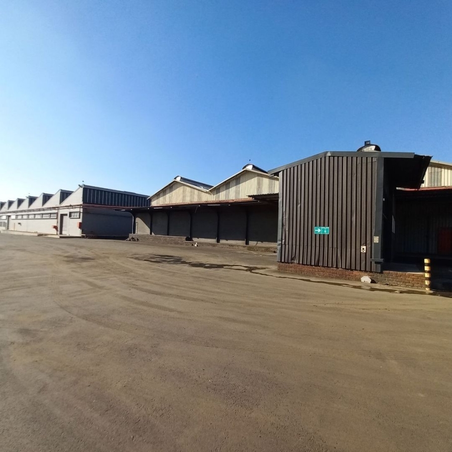 To Let commercial Property for Rent in Benoni Industrial Gauteng