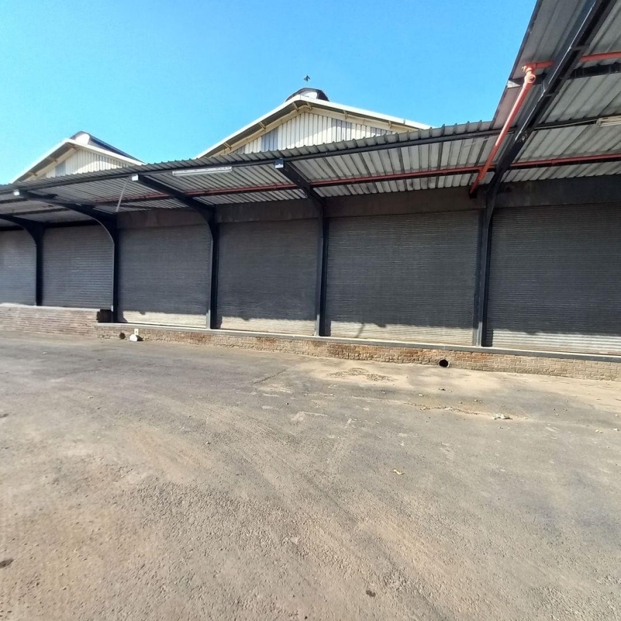 To Let commercial Property for Rent in Benoni Industrial Gauteng