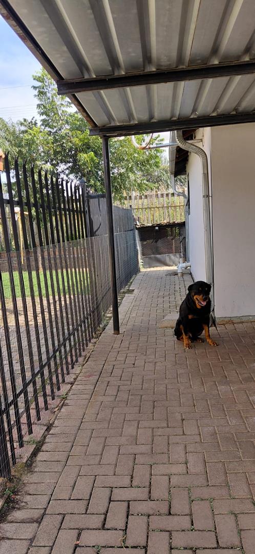 3 Bedroom Property for Sale in Nkwe Estate Gauteng