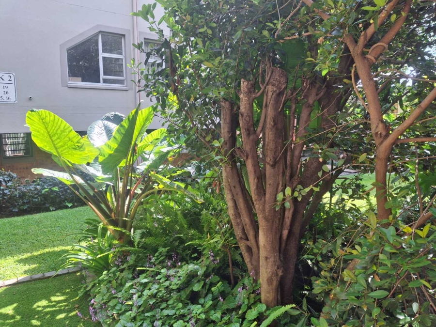 3 Bedroom Property for Sale in Sandown Gauteng