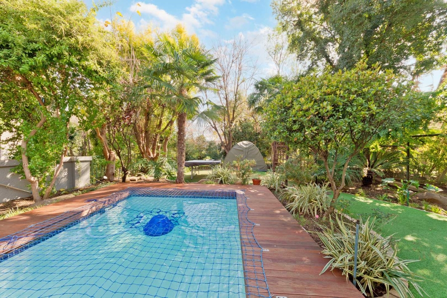 To Let 3 Bedroom Property for Rent in Dainfern Golf Estate Gauteng