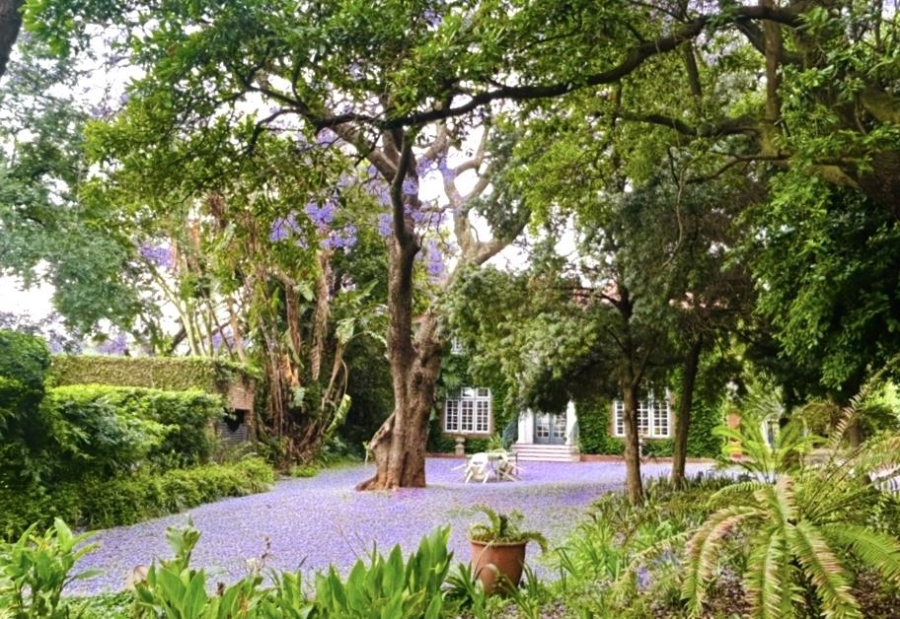 4 Bedroom Property for Sale in Baileys Muckleneuk Gauteng