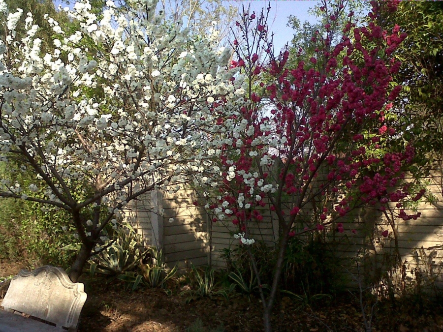 3 Bedroom Property for Sale in Brackendowns Gauteng