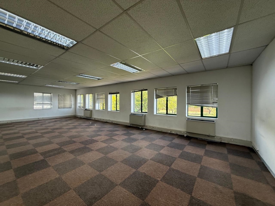 To Let Commercial Property for Rent in Bryanston Gauteng