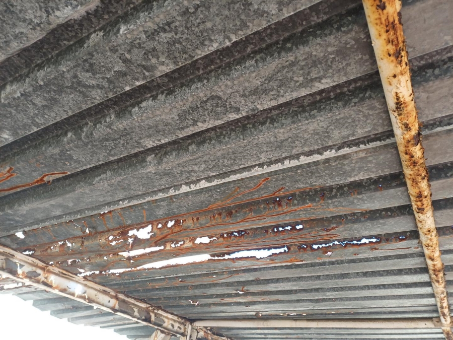 4 Bedroom Property for Sale in Birch Acres Gauteng