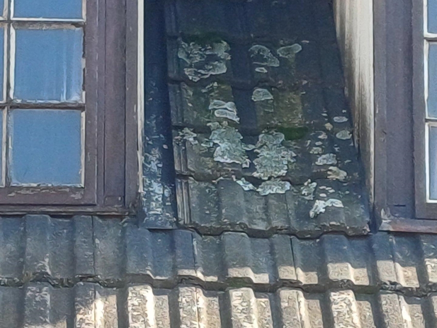 4 Bedroom Property for Sale in Birch Acres Gauteng