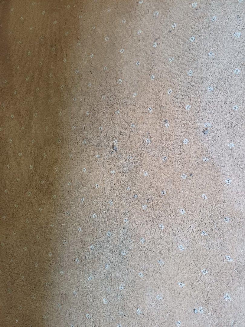 4 Bedroom Property for Sale in Birch Acres Gauteng