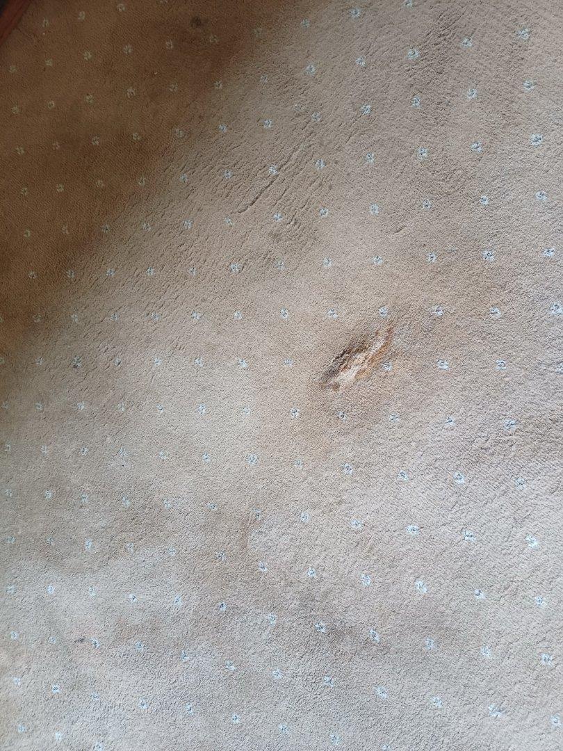 4 Bedroom Property for Sale in Birch Acres Gauteng