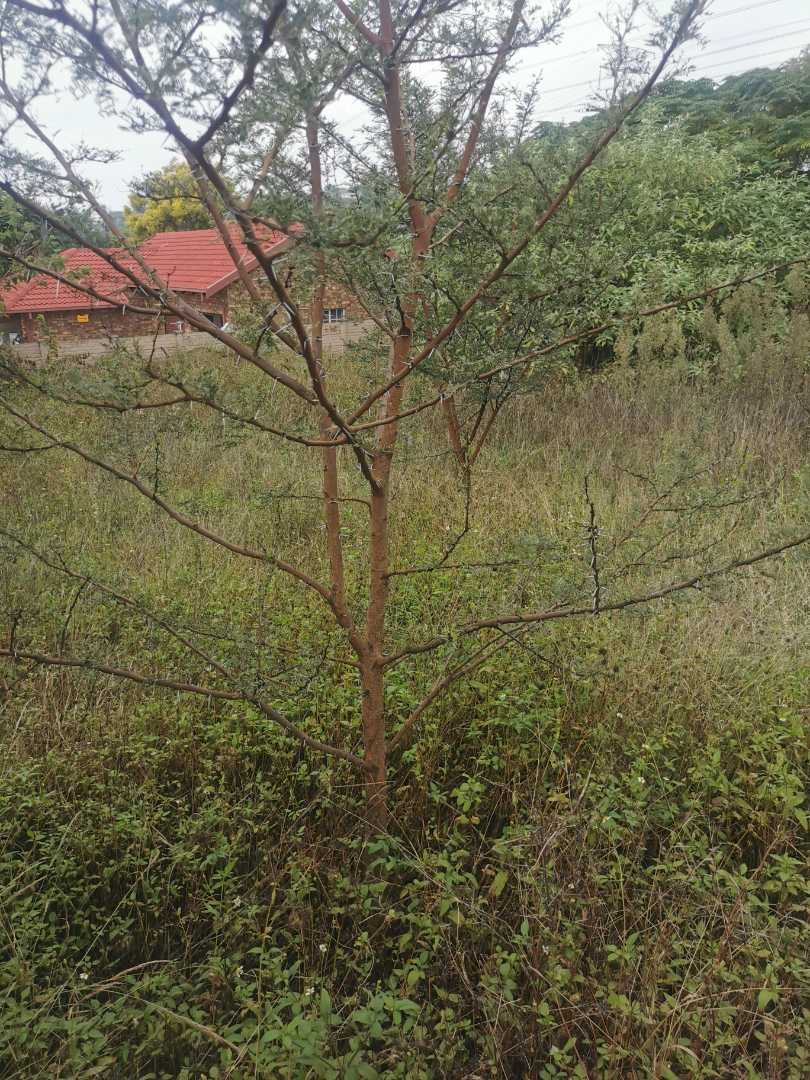 0 Bedroom Property for Sale in Erasmuskloof Gauteng