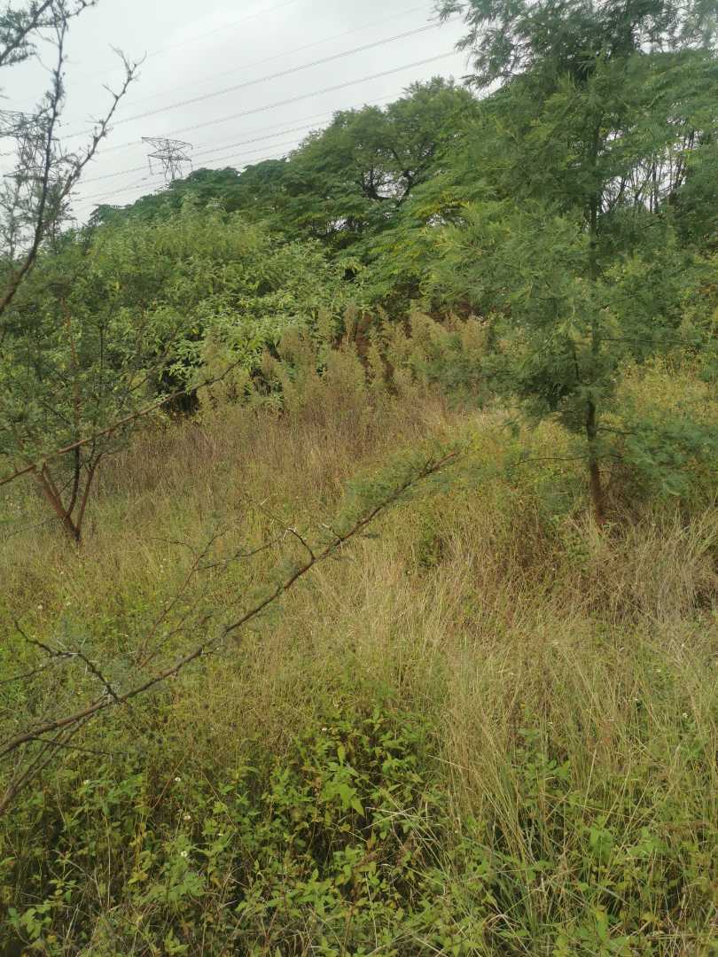 0 Bedroom Property for Sale in Erasmuskloof Gauteng