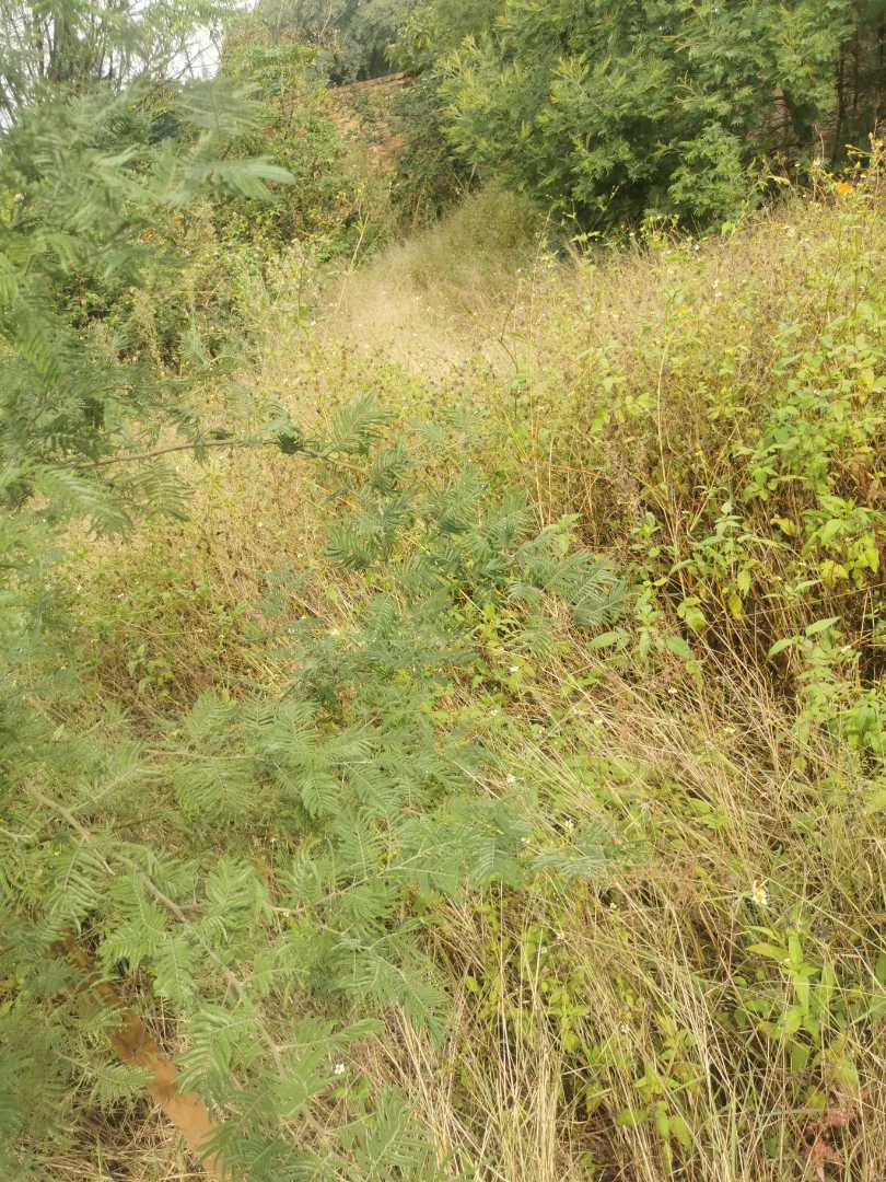 0 Bedroom Property for Sale in Erasmuskloof Gauteng