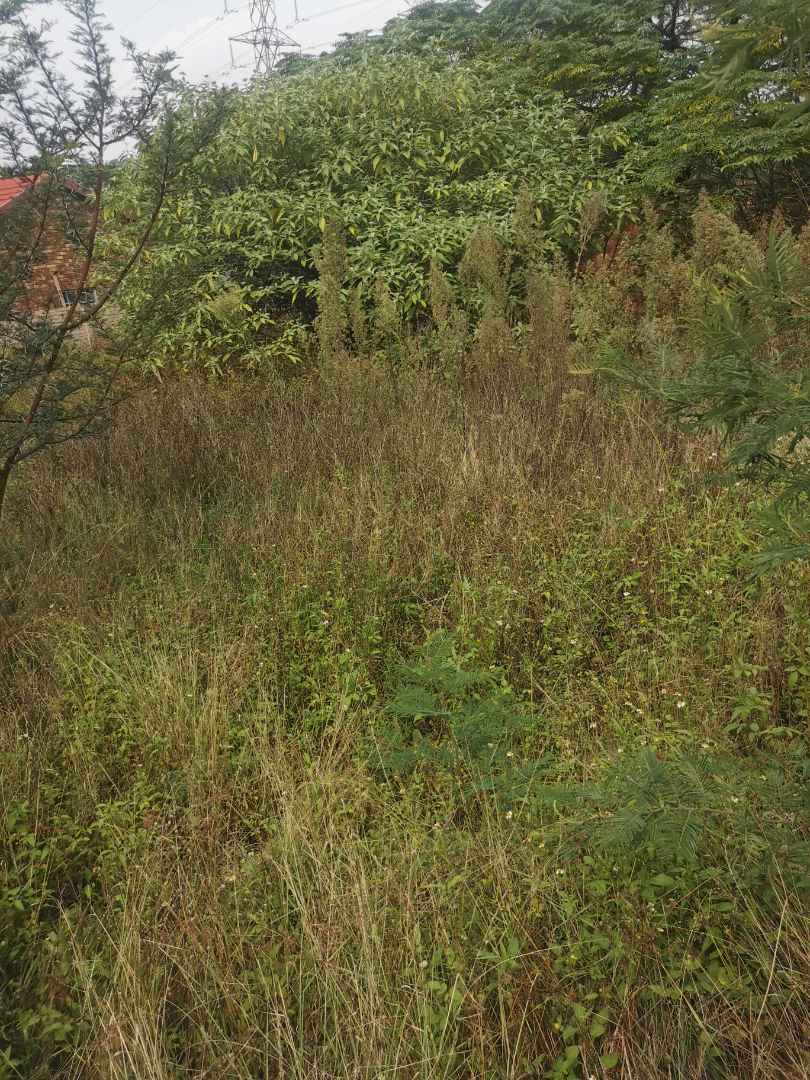 0 Bedroom Property for Sale in Erasmuskloof Gauteng