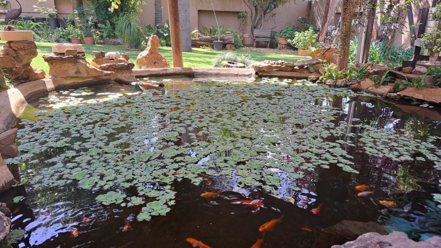 To Let 1 Bedroom Property for Rent in Boskruin Gauteng