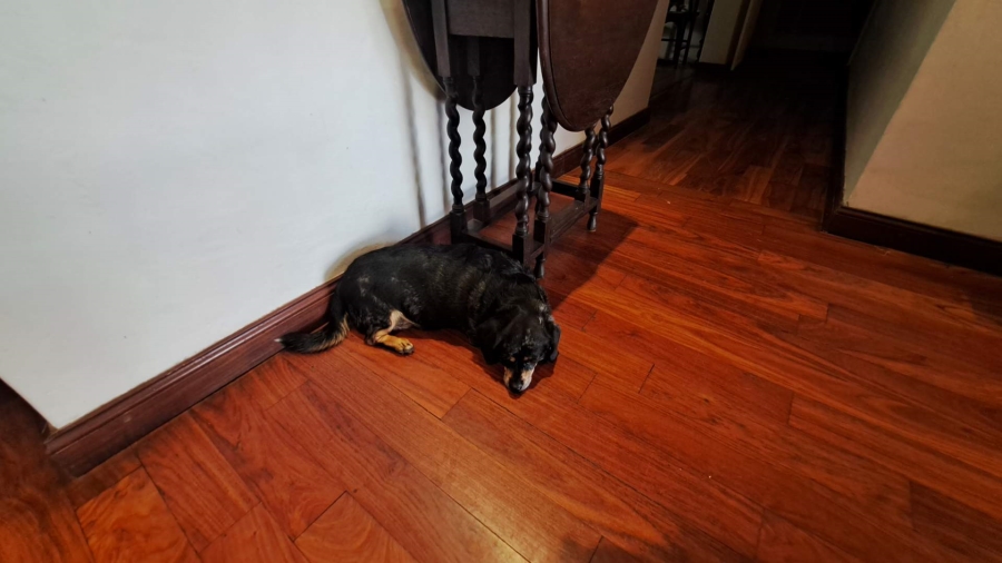 To Let 1 Bedroom Property for Rent in Boskruin Gauteng