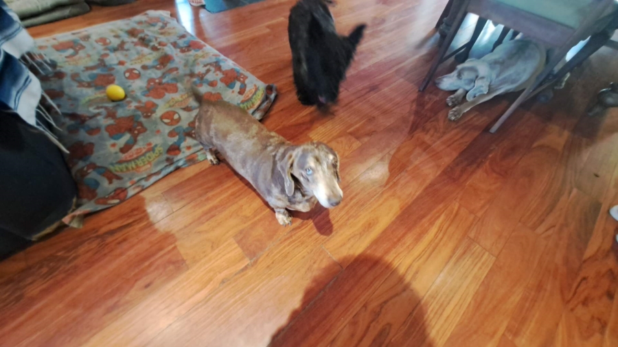 To Let 1 Bedroom Property for Rent in Boskruin Gauteng