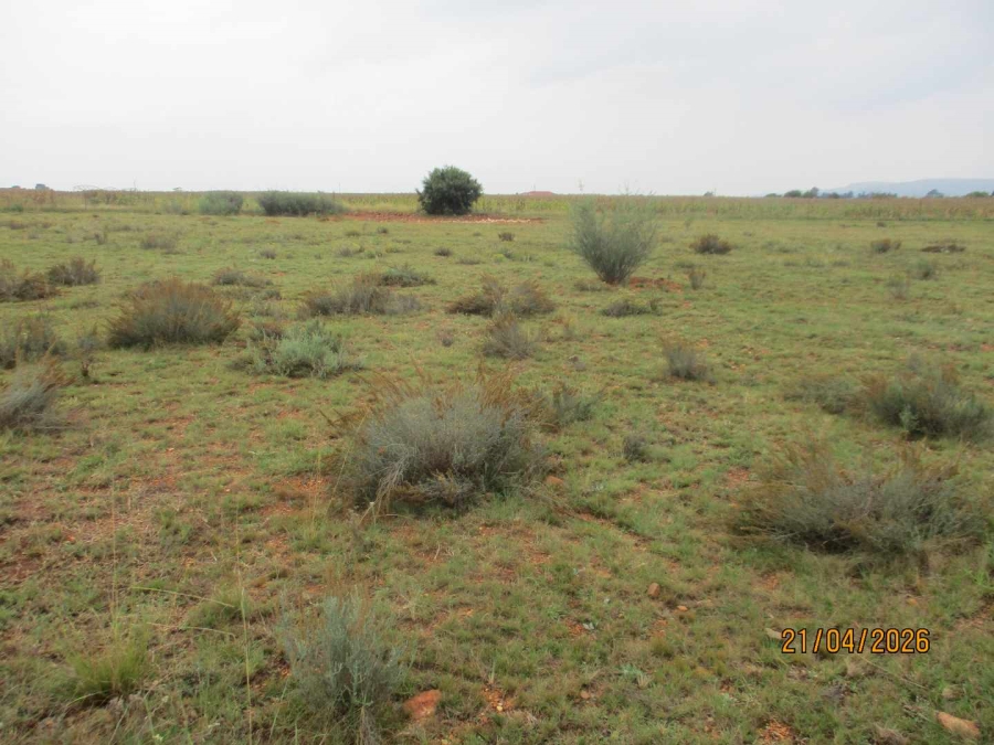 Commercial Property for Sale in Henley on Klip Gauteng