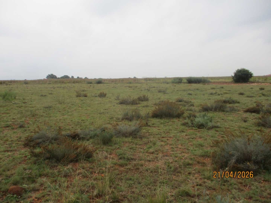 Commercial Property for Sale in Henley on Klip Gauteng
