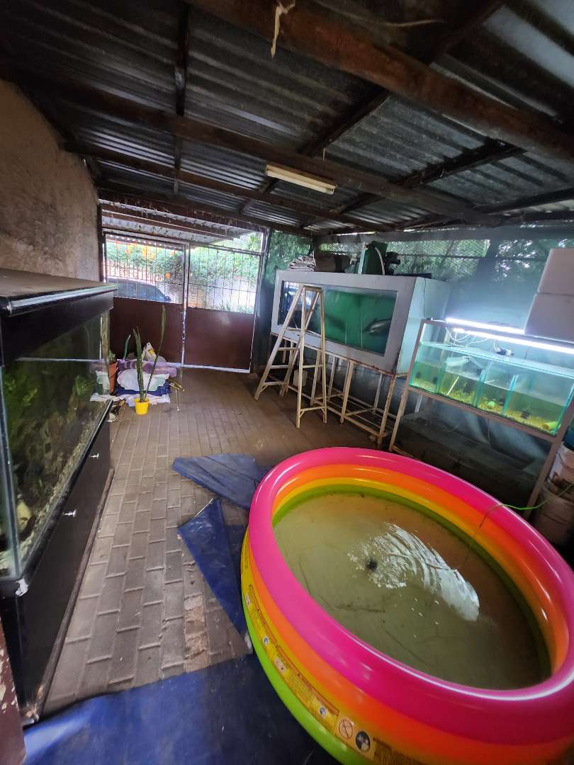 4 Bedroom Property for Sale in Verwoerdpark Gauteng