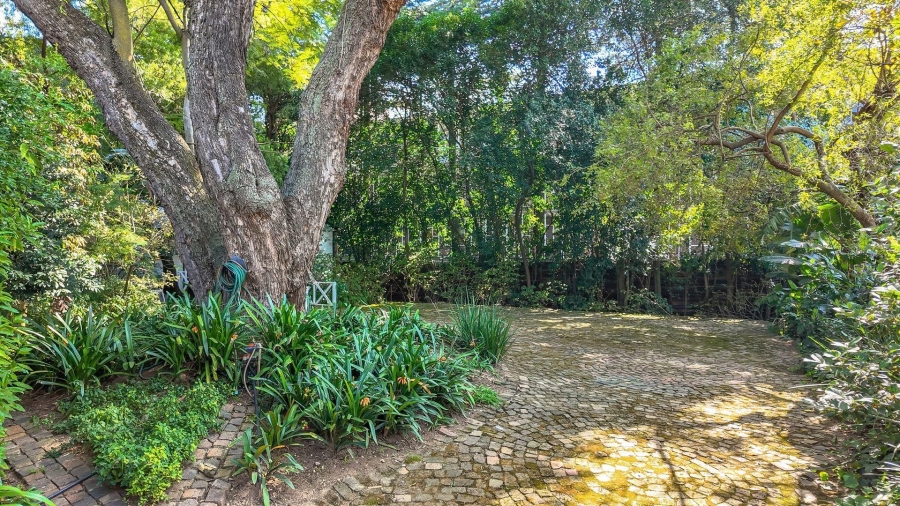 To Let 3 Bedroom Property for Rent in Benmore Gardens Gauteng