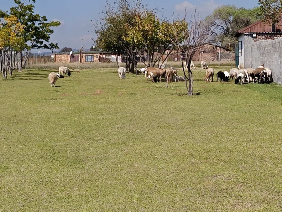 5 Bedroom Property for Sale in Hallgate Gauteng