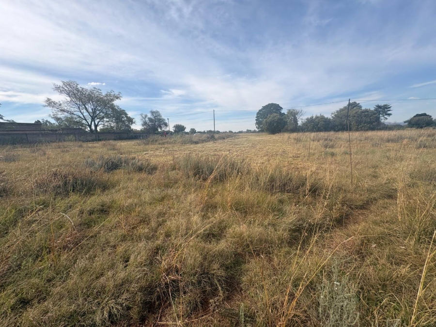 0 Bedroom Property for Sale in Henley on Klip Gauteng