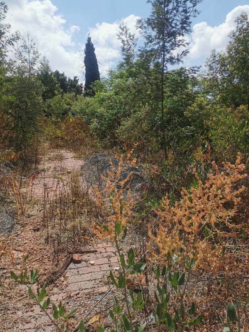 0 Bedroom Property for Sale in Waterkloof Ridge Gauteng