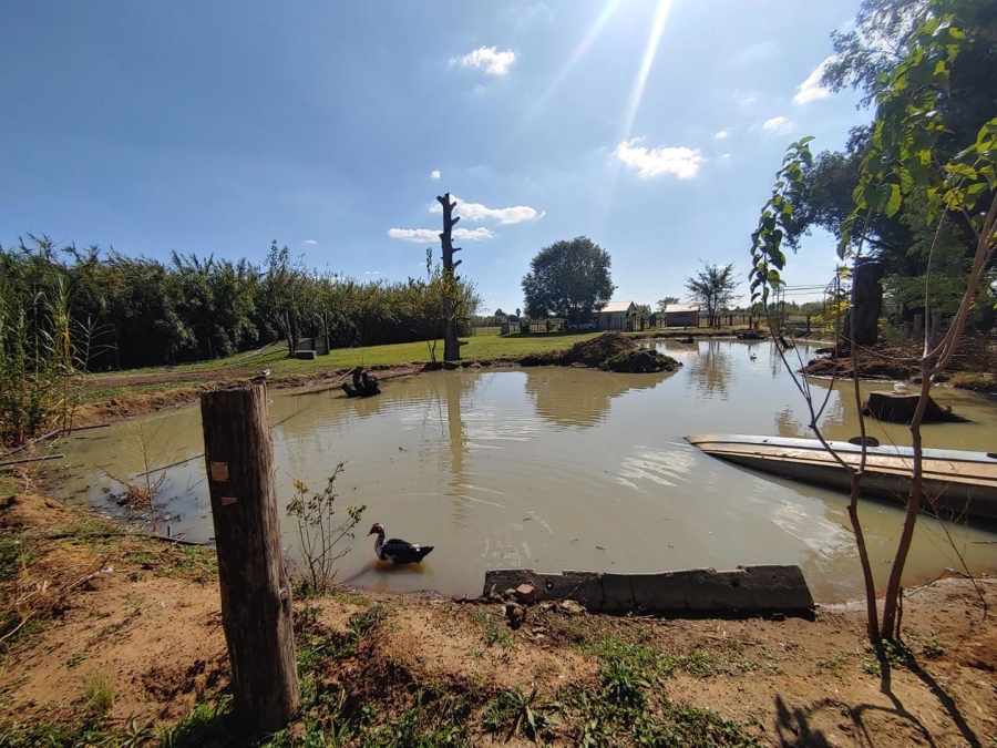 10 Bedroom Property for Sale in Homelands Gauteng