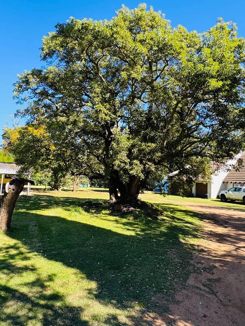 Commercial Property for Sale in Fairlead Gauteng