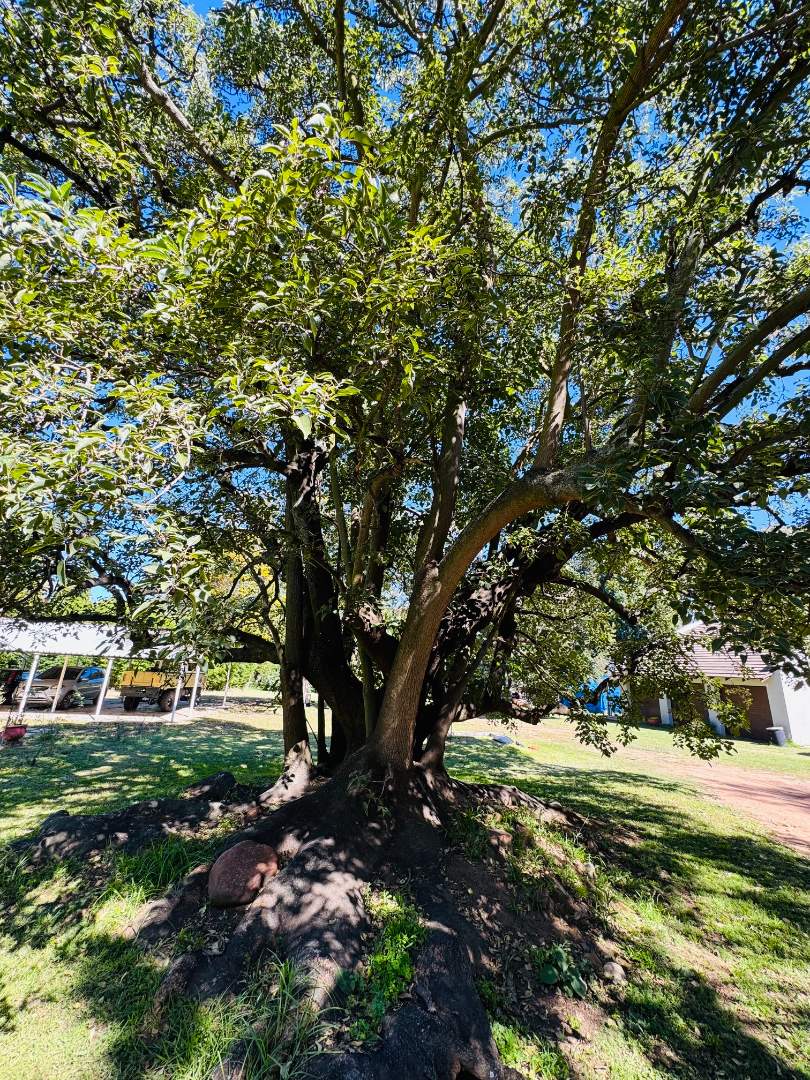 Commercial Property for Sale in Fairlead Gauteng