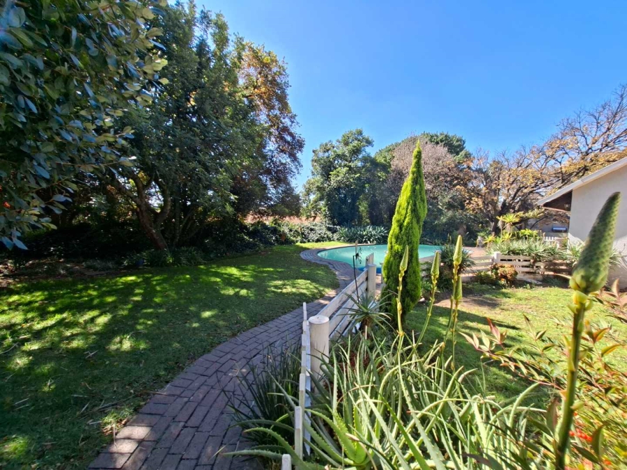 To Let 4 Bedroom Property for Rent in Buccleuch Gauteng