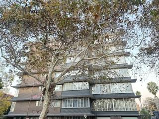 2 Bedroom Property for Sale in Sunnyside Gauteng