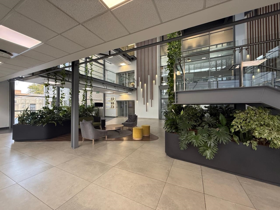 To Let Commercial Property for Rent in Illovo Gauteng