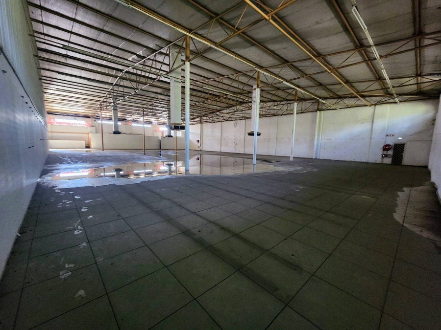 To Let Commercial Property for Rent in Gezina Gauteng