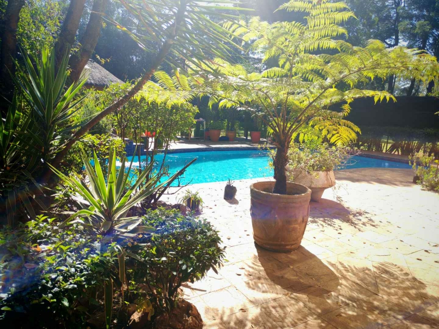 6 Bedroom Property for Sale in Alewynspoort Gauteng
