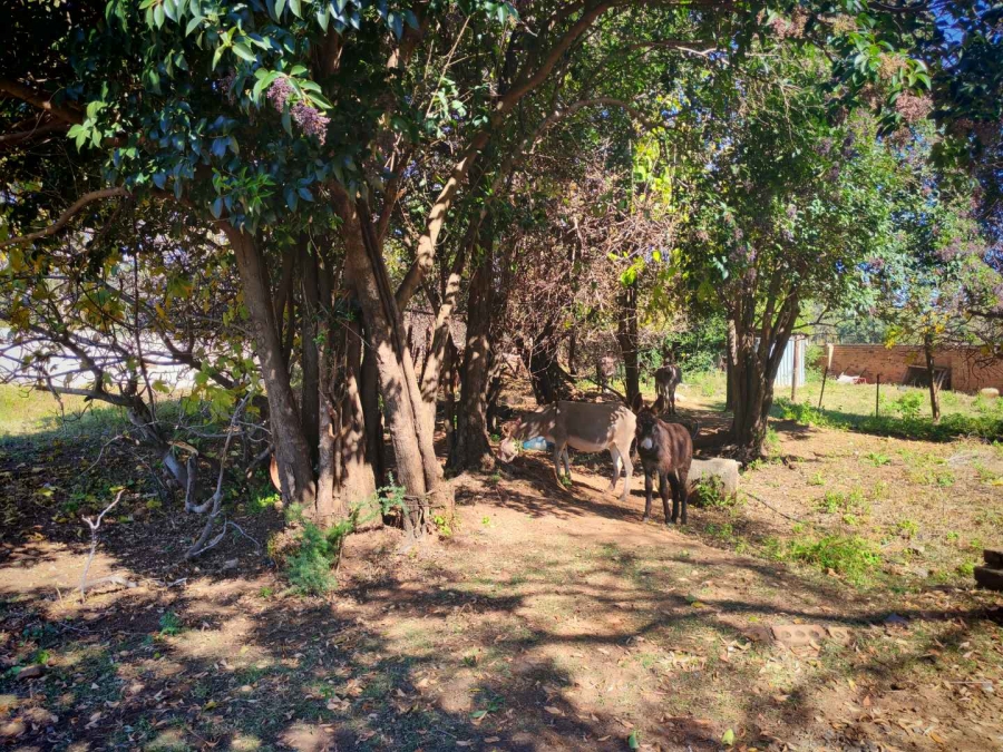 6 Bedroom Property for Sale in Alewynspoort Gauteng