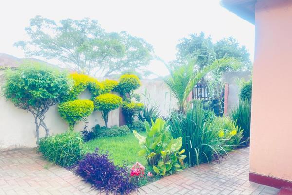 To Let 3 Bedroom Property for Rent in Roodepoort Gauteng