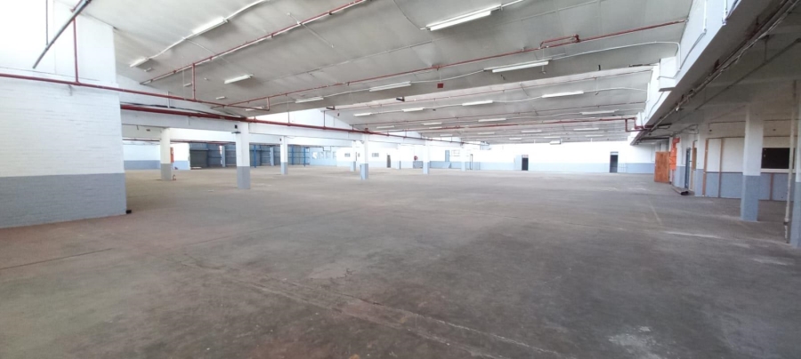 To Let Commercial Property for Rent in Benrose Gauteng