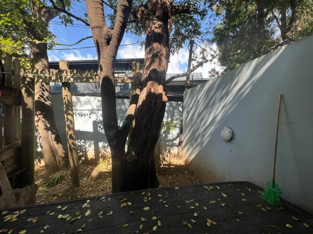 To Let 3 Bedroom Property for Rent in Parktown North Gauteng