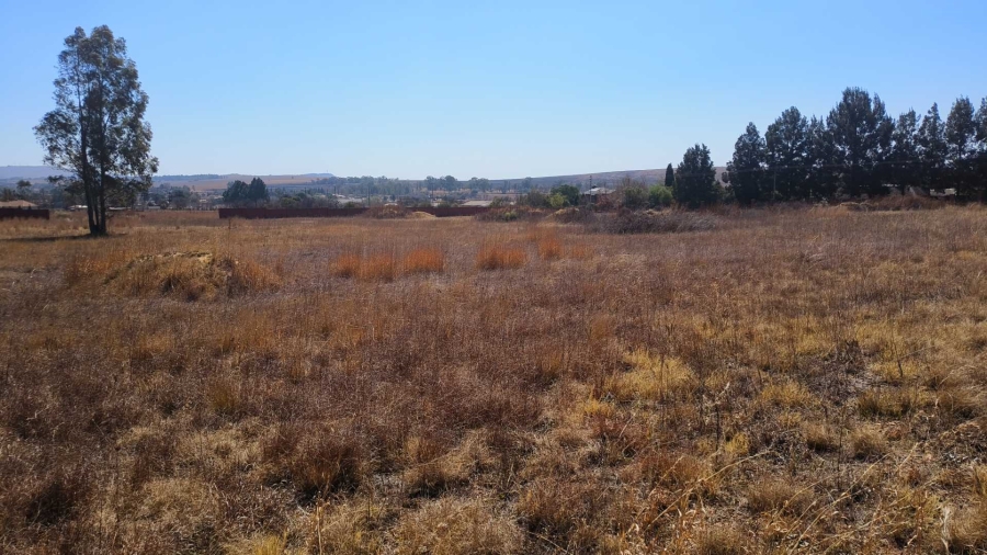 0 Bedroom Property for Sale in Blue Saddle Ranches Gauteng