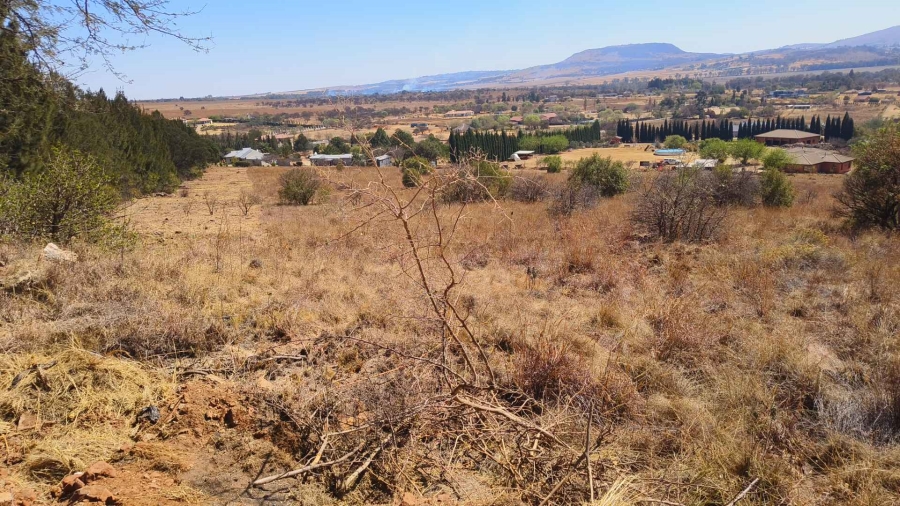 0 Bedroom Property for Sale in Blue Saddle Ranches Gauteng