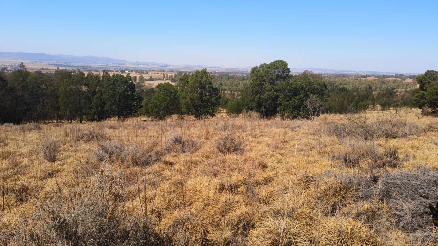 0 Bedroom Property for Sale in Blue Saddle Ranches Gauteng