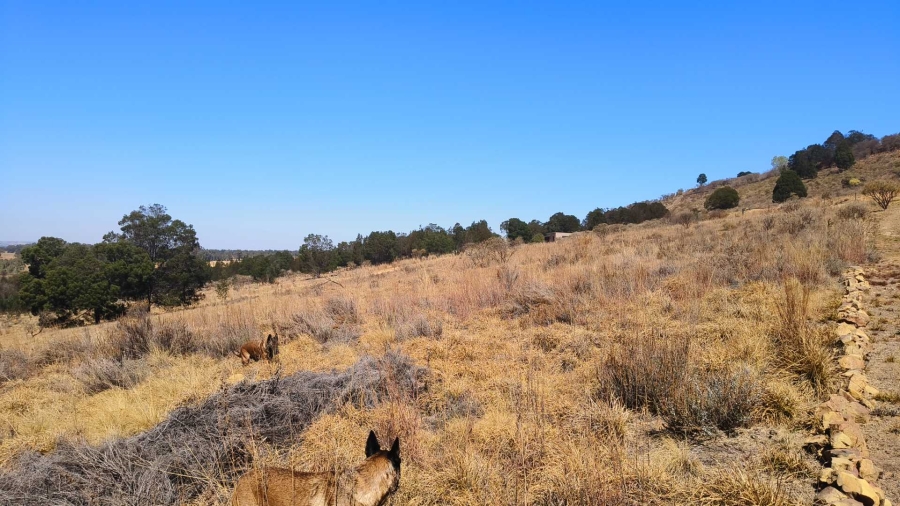 0 Bedroom Property for Sale in Blue Saddle Ranches Gauteng