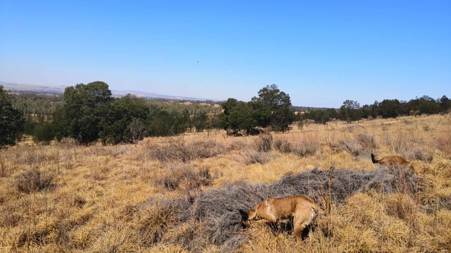 0 Bedroom Property for Sale in Blue Saddle Ranches Gauteng