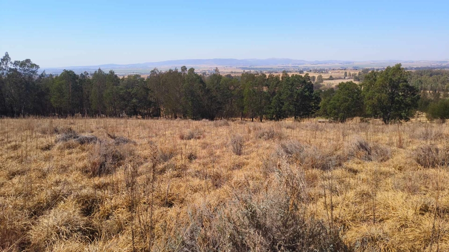 0 Bedroom Property for Sale in Blue Saddle Ranches Gauteng