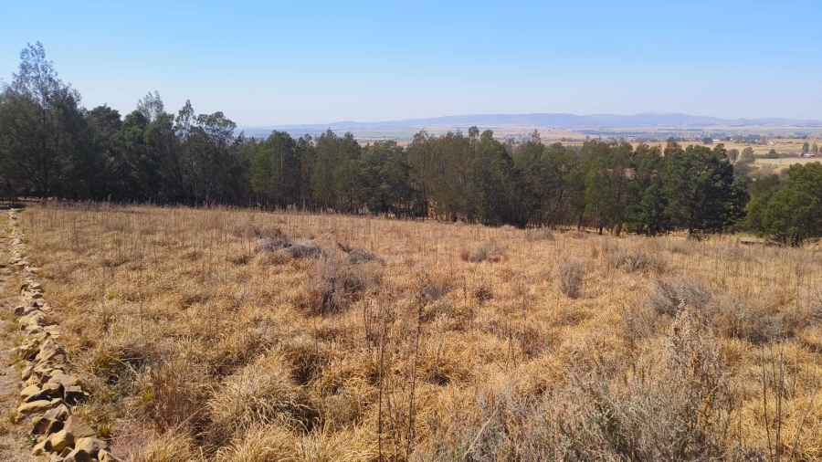 0 Bedroom Property for Sale in Blue Saddle Ranches Gauteng