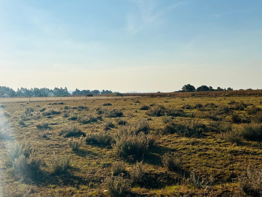 Commercial Property for Sale in Henley on Klip Gauteng