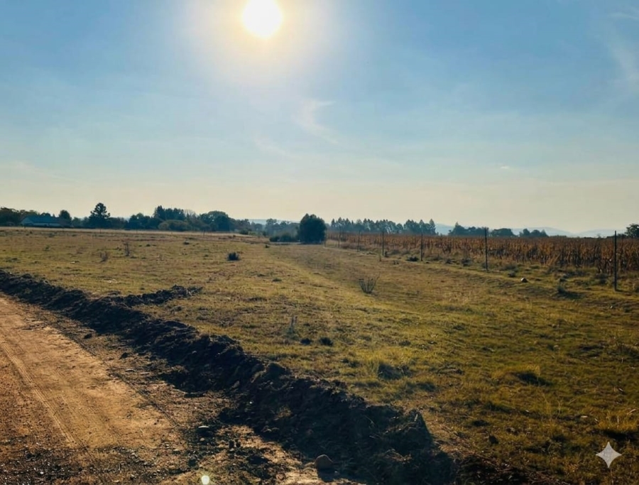 Commercial Property for Sale in Henley on Klip Gauteng
