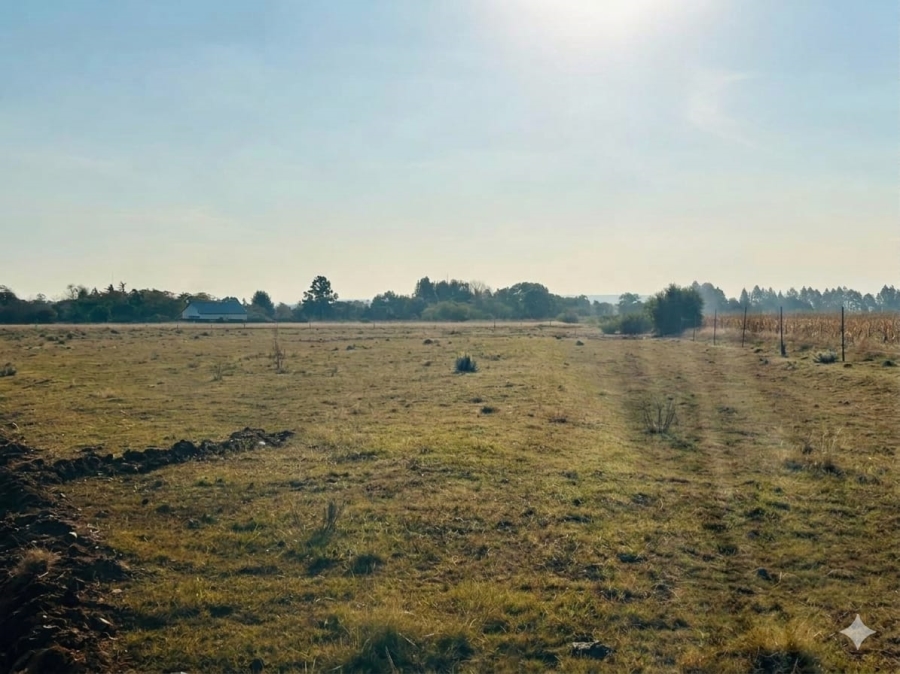 Commercial Property for Sale in Henley on Klip Gauteng