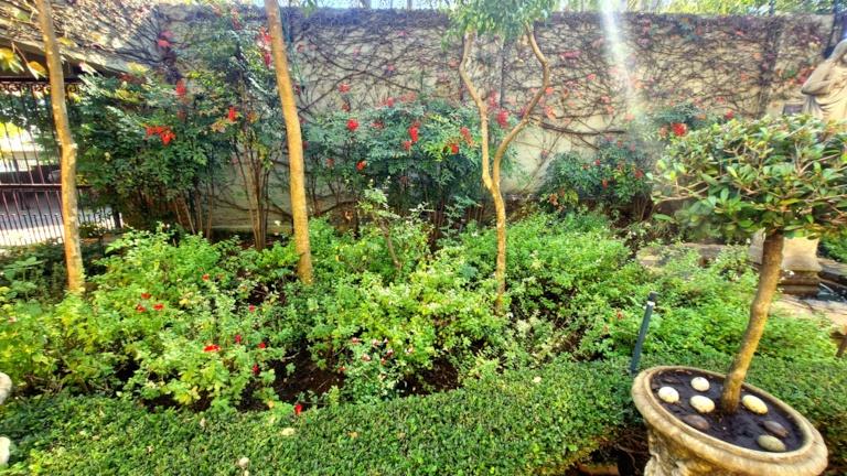 3 Bedroom Property for Sale in Rietondale Gauteng